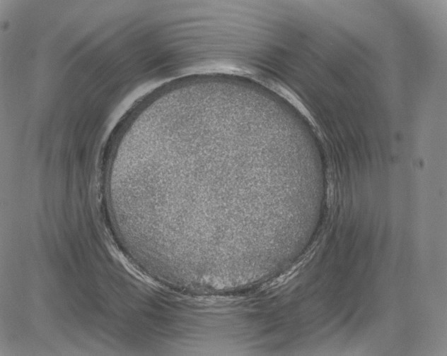 X0000080731116200701051052