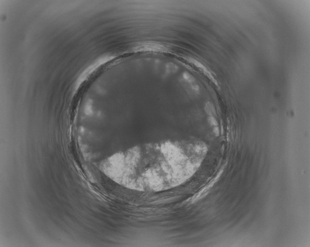 X0000080731117200701051052