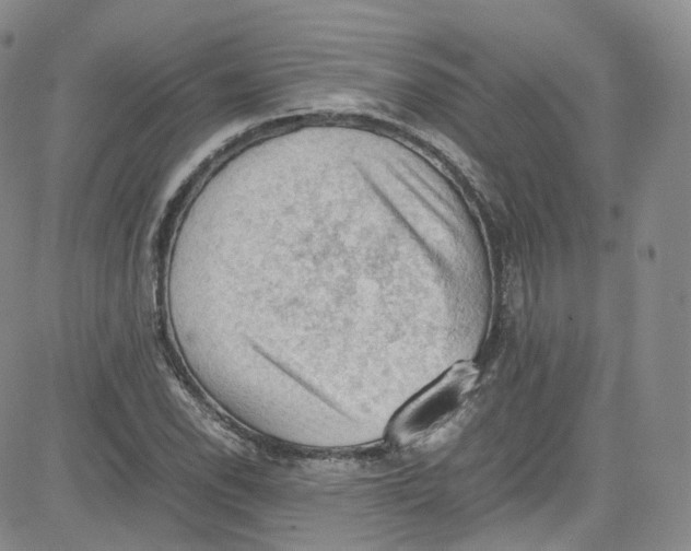 X0000080731118200701051052