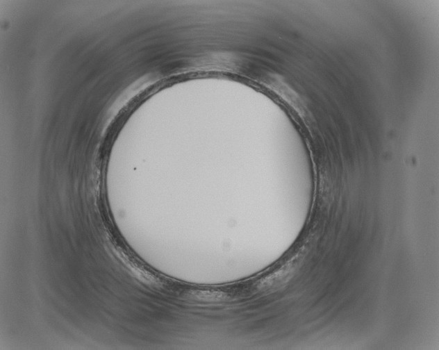 X0000080731119200701051052