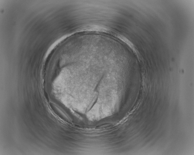 X0000080731120200701051052