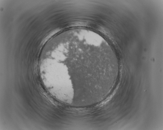 X0000080731121200701051052