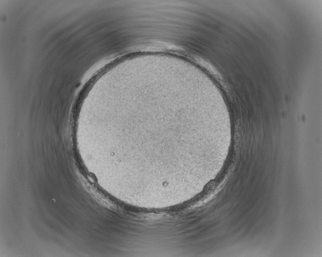 X0000080731122200701051052