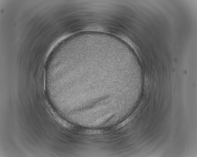 X0000080731123200701051052