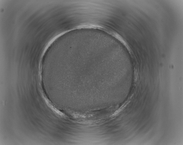 X0000080731124200701051052