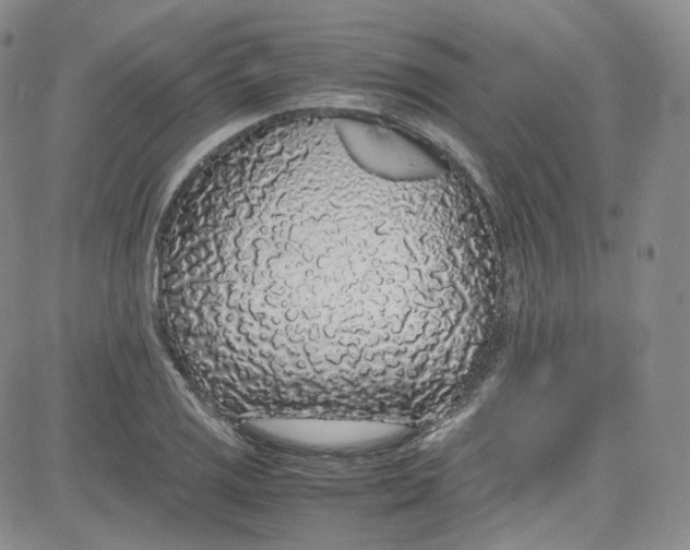 X0000080731125200701051052