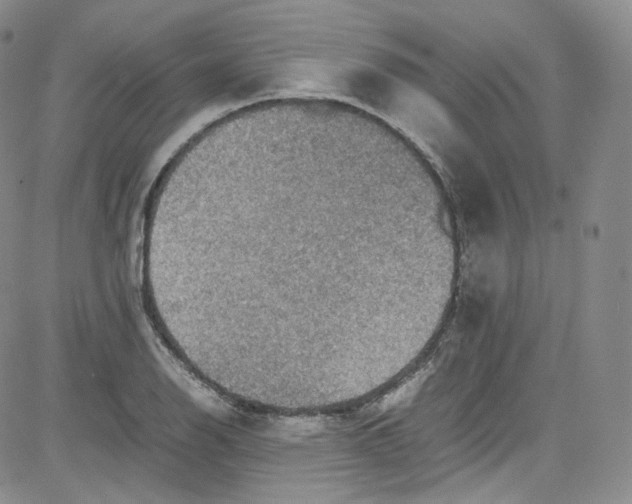 X0000080731126200701051052