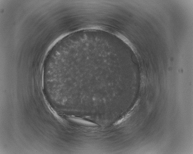 X0000080731127200701051052