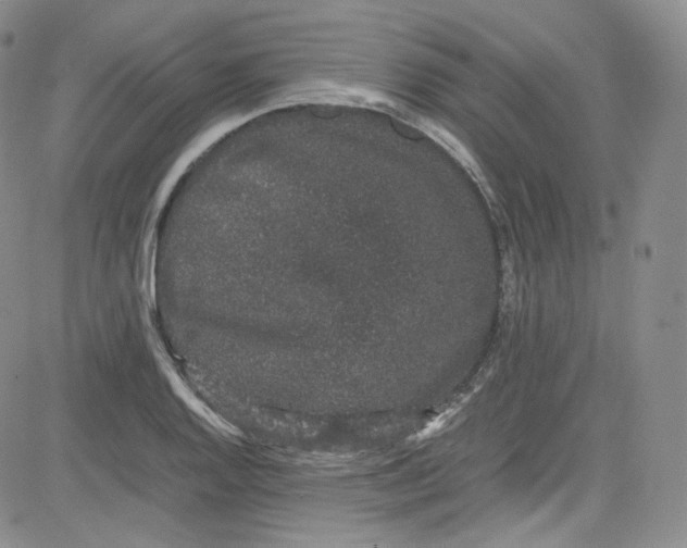 X0000080731128200701051052