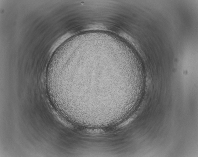 X0000080731129200701051052