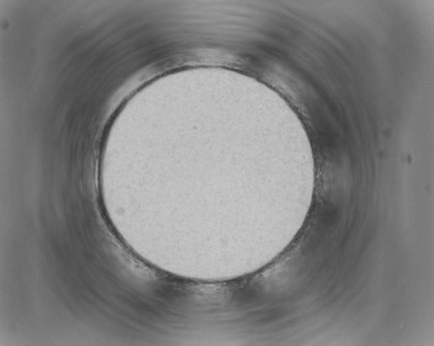 X0000080731130200701051052