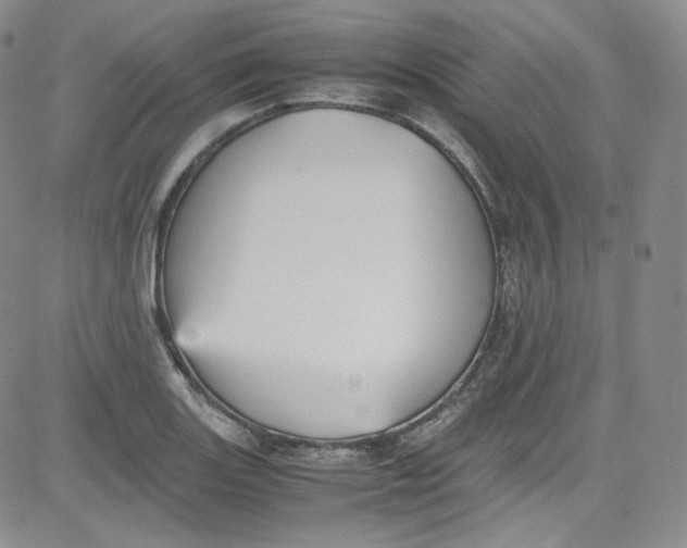 X0000080731131200701051052