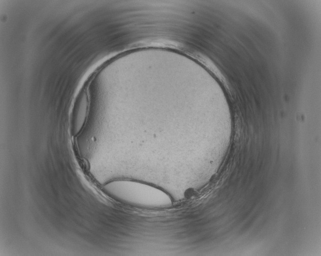 X0000080731132200701051052