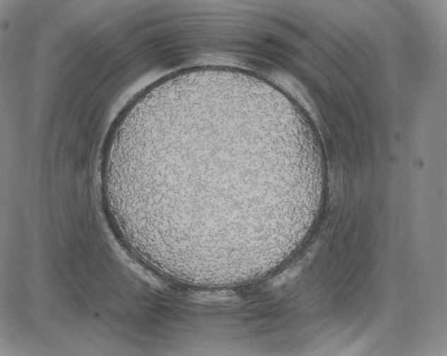 X0000080731133200701051052