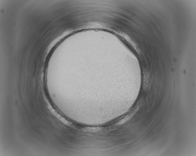 X0000080731134200701051052