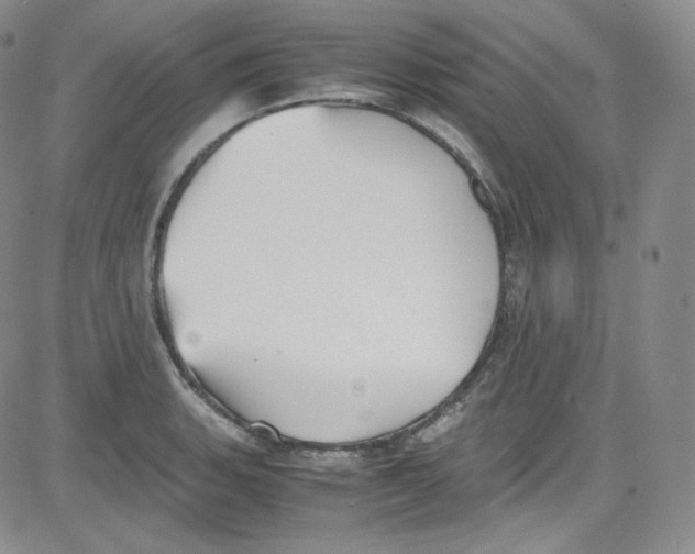 X0000080731135200701051052