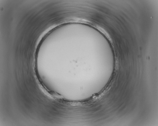 X0000080731136200701051052