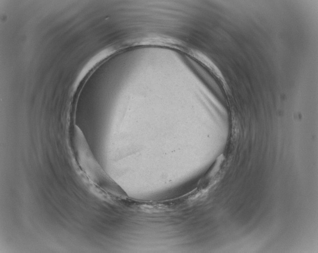 X0000080731138200701051052