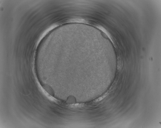 X0000080731139200701051052