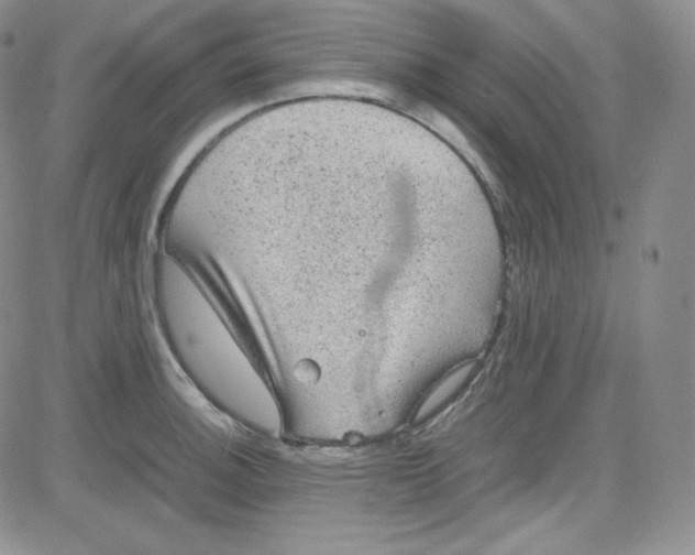 X0000080731140200701051052