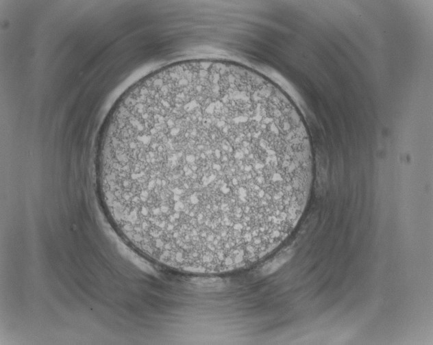 X0000080731142200701051052