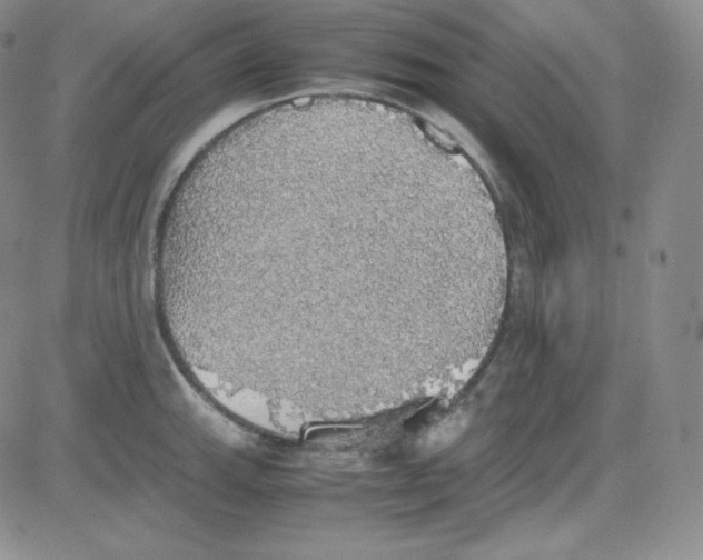 X0000080731143200701051052