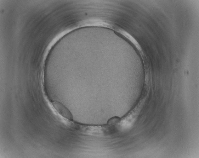 X0000080731144200701051052