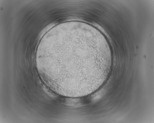 X0000080731145200701051052