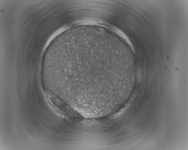 X0000080731146200701051053