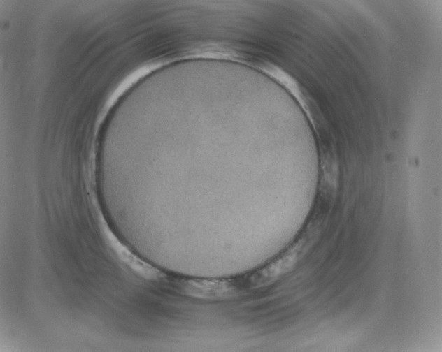 X0000080731147200701051053