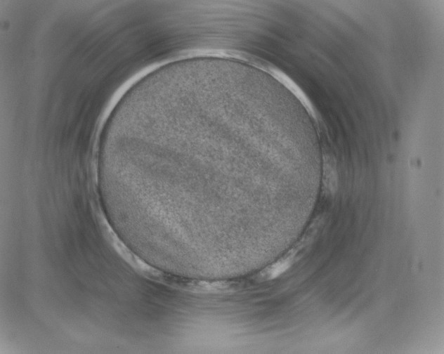 X0000080731148200701051053