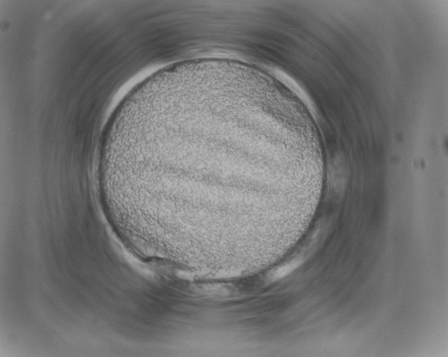 X0000080731149200701051053