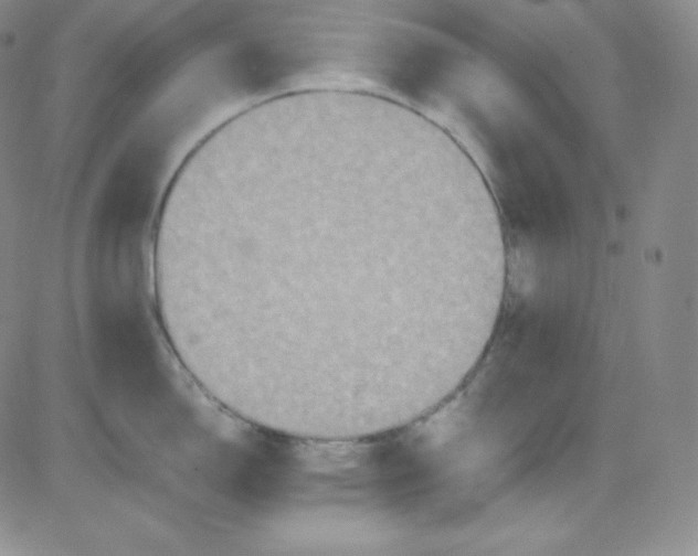 X0000080731150200701051053