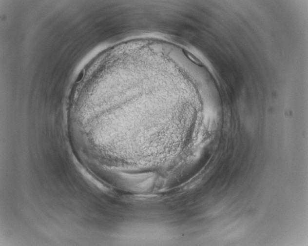 X0000080731151200701051053