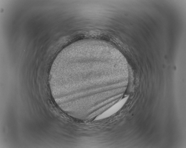 X0000080731153200701051052