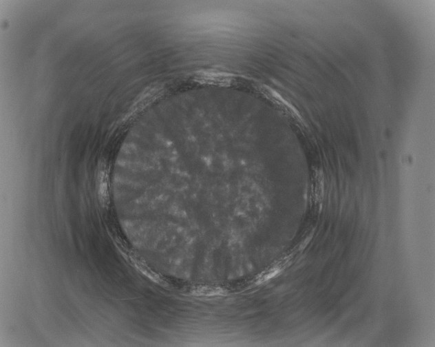 X0000080731154200701051052