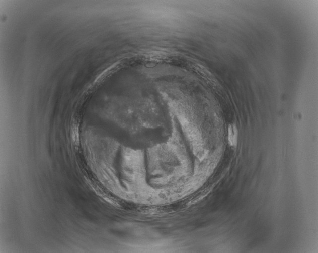 X0000080731155200701051052