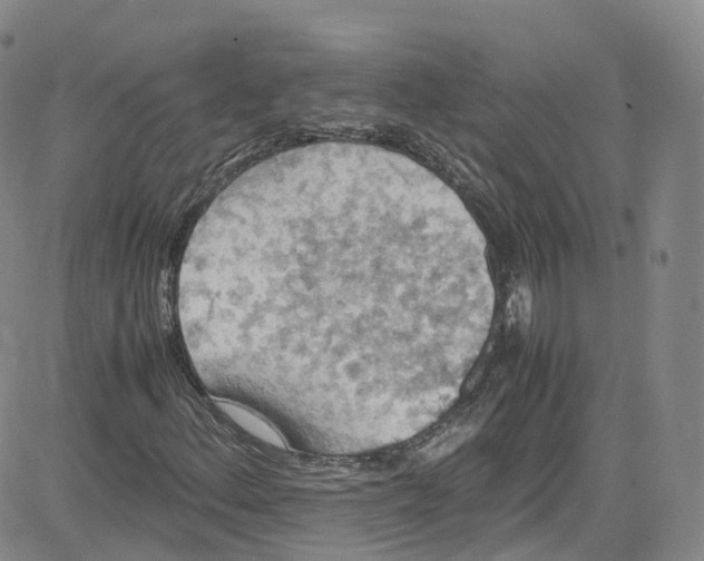 X0000080731156200701051052