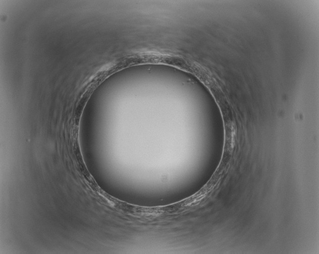 X0000080731157200701051052