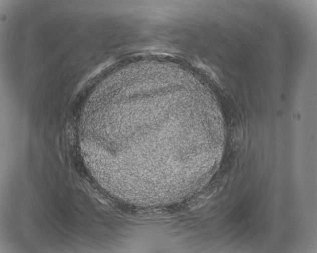 X0000080731159200701051052