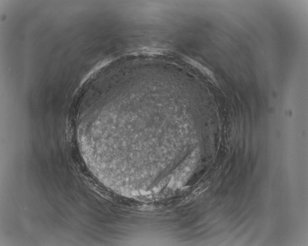 X0000080731160200701051052