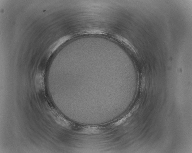 X0000080731162200701051052