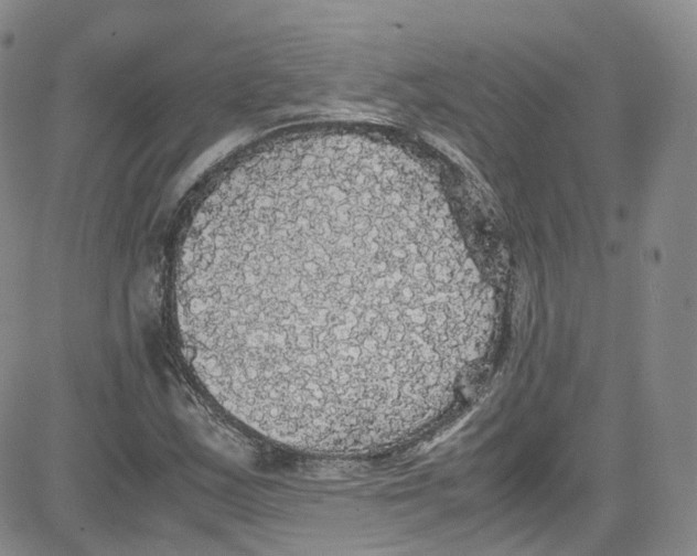 X0000080731163200701051052