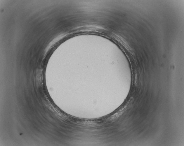 X0000080731164200701051052