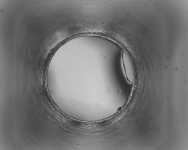 X0000080731165200701051052