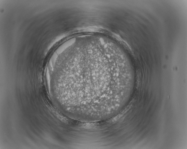 X0000080731166200701051052