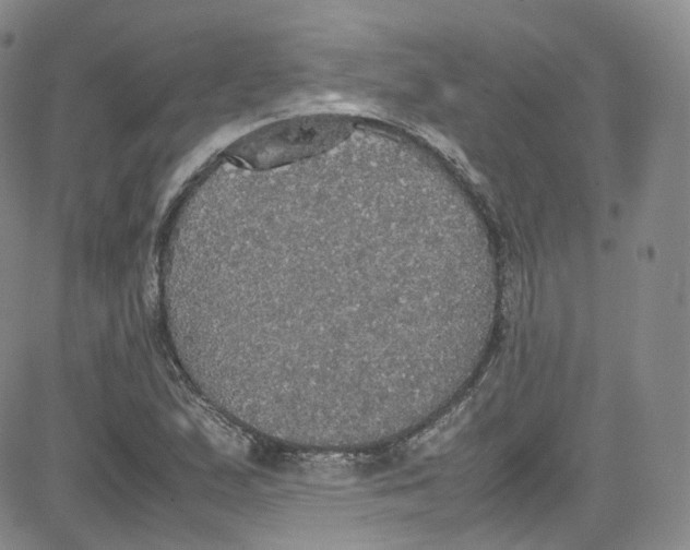 X0000080731167200701051052