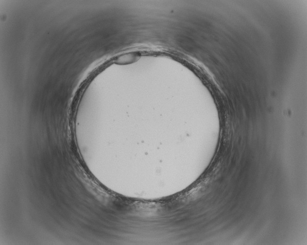 X0000080731168200701051052