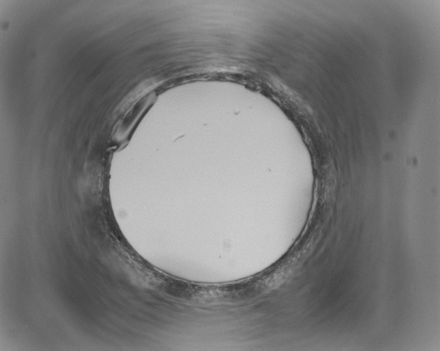 X0000080731169200701051052