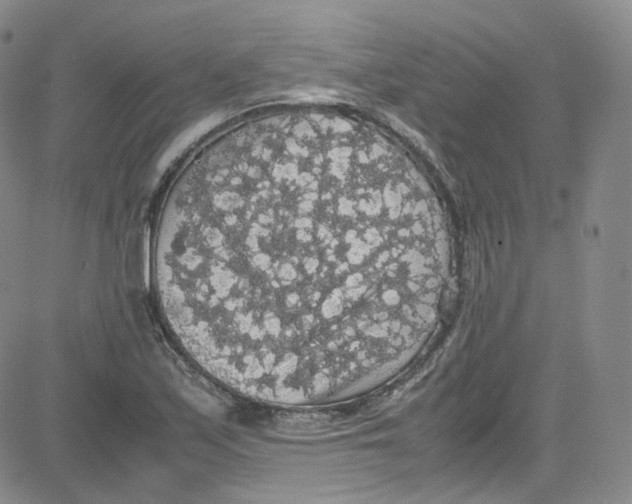 X0000080731171200701051052